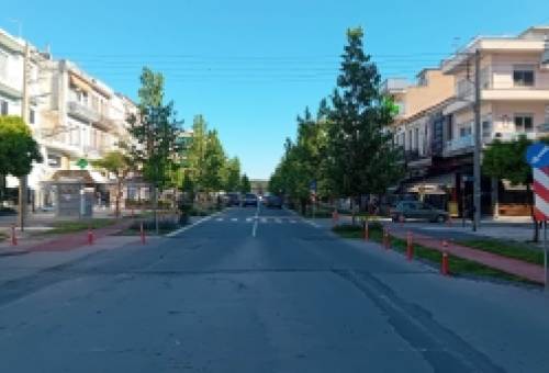 Τα παραμύθια της Παλαιολόγου: «Φύγετε πλατάνια, ελάτε ξανά φοίνικες…»