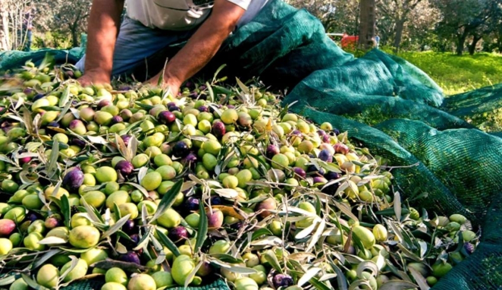 &Pi;&alpha;&rho;ά&tau;&alpha;&sigma;&eta; &gamma;&iota;&alpha; &tau;&omicron;&upsilon;&sigmaf; &epsilon;&lambda;&alpha;&iota;&omicron;&pi;&alpha;&rho;&alpha;&gamma;&omega;&gamma;&omicron;ύ&sigmaf;: &Mu;&epsilon;&tau;&alpha;&tau;ί&theta;&epsilon;&tau;&alpha;&iota; &gamma;&iota;&alpha; &tau;&omicron; 2026 &eta; &upsilon;&pi;&omicron;&chi;&rho;&epsilon;&omega;&tau;&iota;&kappa;ή &delta;ή&lambda;&omega;&sigma;&eta; &epsilon;&lambda;&alpha;&iota;&omicron;&kappa;ά&rho;&pi;&omicron;&upsilon;