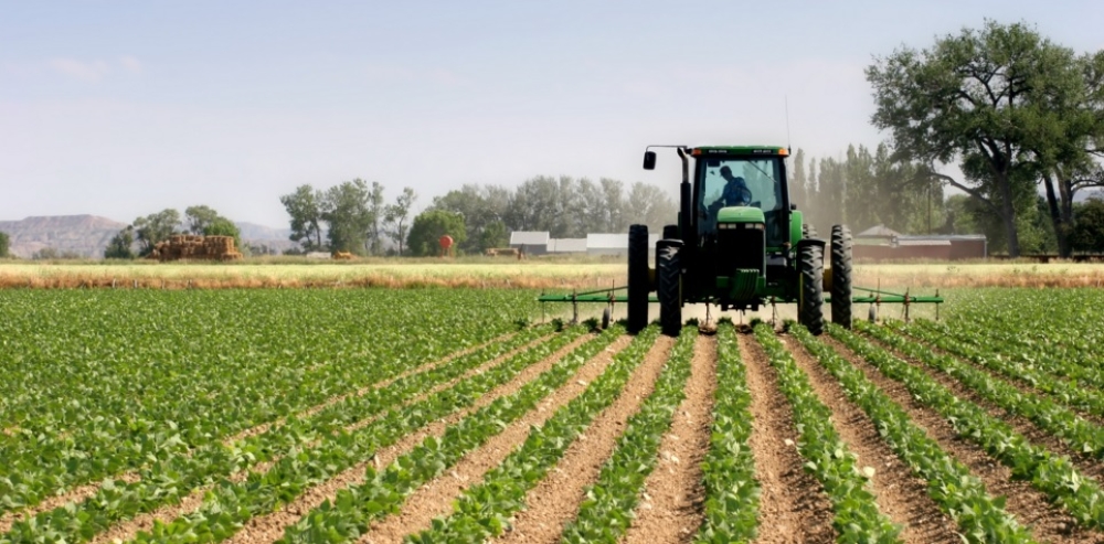 260 &epsilon;&kappa;&alpha;&tau;. &epsilon;&upsilon;&rho;ώ &gamma;&iota;&alpha; &sigma;&chi;έ&delta;&iota;&alpha; &beta;&epsilon;&lambda;&tau;ί&omega;&sigma;&eta;&sigmaf; &gamma;&epsilon;&omega;&rho;&gamma;&iota;&kappa;ώ&nu; &epsilon;&kappa;&mu;&epsilon;&tau;&alpha;&lambda;&lambda;&epsilon;ύ&sigma;&epsilon;&omega;&nu;