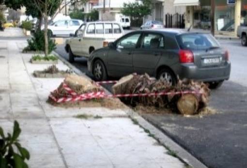 Αποψίλωση