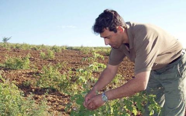 &Pi;&rho;&iota;&mu; 240 &epsilon;&kappa;. &epsilon;&upsilon;&rho;ώ &gamma;&iota;&alpha; 16.000 &nu;έ&omicron;&upsilon;&sigmaf; &alpha;&gamma;&rho;ό&tau;&epsilon;&sigmaf;