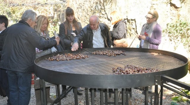 &Pi;&upsilon;&rho;&epsilon;&tau;ώ&delta;&epsilon;&iota;&sigmaf; &epsilon;&tau;&omicron;&iota;&mu;&alpha;&sigma;ί&epsilon;&sigmaf; &gamma;&iota;&alpha; &tau;&eta;&nu; 11&eta; &Gamma;&iota;&omicron;&rho;&tau;ή &Kappa;ά&sigma;&tau;&alpha;&nu;&omicron;&upsilon; &sigma;&tau;&eta;&nu; Ά&rho;&nu;&alpha;