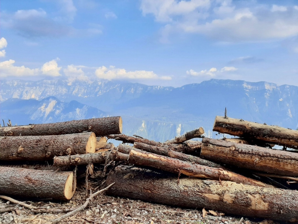 Ί&sigma;&eta; &mu;&epsilon; &laquo;&mu;&iota;&alpha; &Epsilon;&lambda;&beta;&epsilon;&tau;ί&alpha;&raquo; &epsilon;ί&nu;&alpha;&iota; &eta; έ&kappa;&tau;&alpha;&sigma;&eta;  &tau;&omega;&nu; &tau;&rho;&omicron;&pi;&iota;&kappa;ώ&nu; &delta;&alpha;&sigma;ώ&nu; &pi;&omicron;&upsilon; &alpha;&pi;&omicron;&psi;&iota;&lambda;ώ&theta;&eta;&kappa;&alpha;&nu; &tau;&omicron; 2022