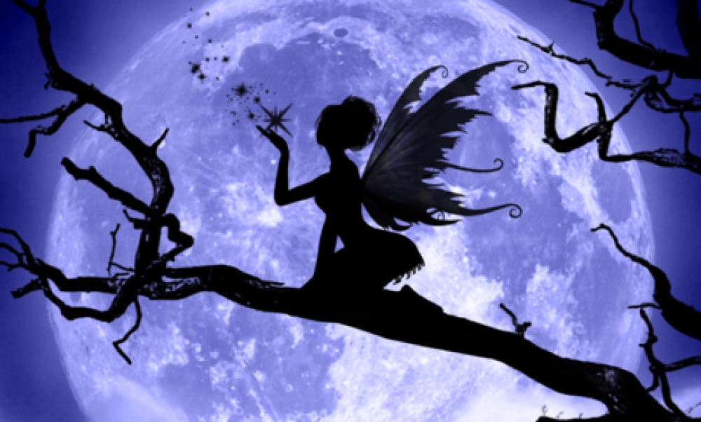 Η νεράιδα και το κρασί