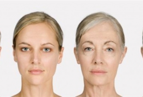 Αναστροφή της γήρανσης με μετάγγιση αίματος προτείνουν οι επιστήμονες