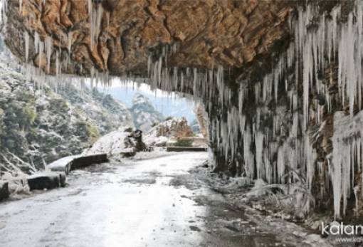 Όταν η φύση έχει… κέφια