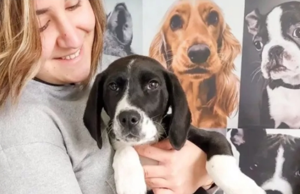 &Pi;&omega;&sigmaf; &mu;&pi;&omicron;&rho;ώ &nu;&alpha; &beta;&omicron;&eta;&theta;ή&sigma;&omega; &tau;&alpha; &alpha;&delta;έ&sigma;&pi;&omicron;&tau;&alpha; &tau;&eta;&sigmaf; &Sigma;&pi;ά&rho;&tau;&eta;&sigmaf; (&sigma;&pi;&alpha;&rho;&tau;&iota;&alpha;&tau;ά&kappa;&iota;&alpha;);