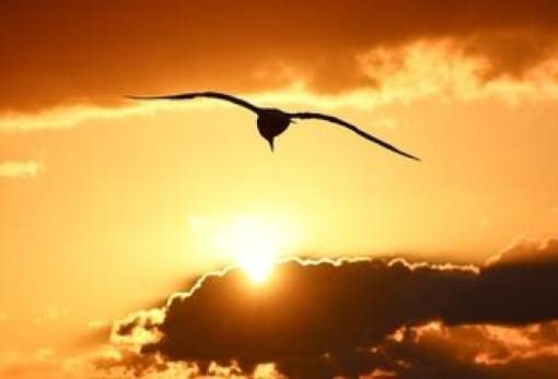 Η Ευρώπη καίγεται: Θερμοκρασίες σε ιστορικά υψηλά και οι συνέπειες στην Ευρώπη