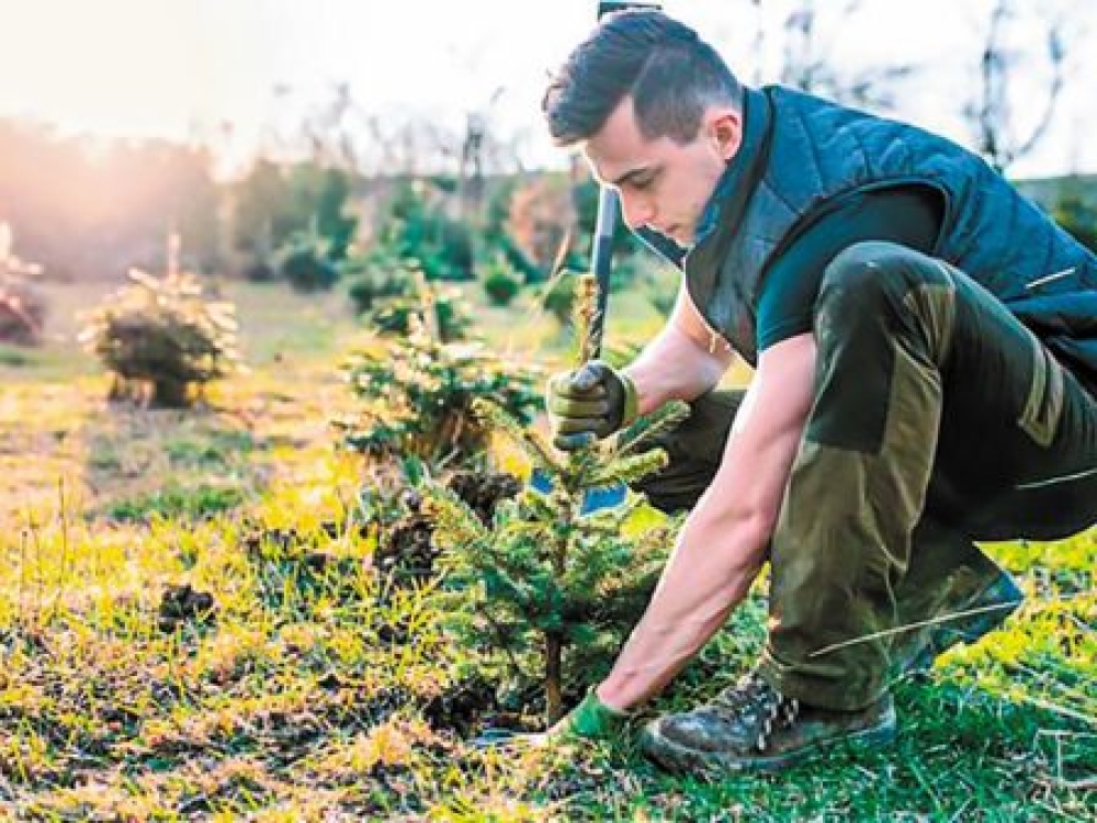 &Omicron;&Pi;&Epsilon;&Kappa;&Epsilon;&Pi;&Epsilon;: Έ&omega;&sigmaf; 31 &Iota;&alpha;&nu;&omicron;&upsilon;&alpha;&rho;ί&omicron;&upsilon; &omicron;&iota; &delta;&eta;&lambda;ώ&sigma;&epsilon;&iota;&sigmaf; &epsilon;&phi;&alpha;&rho;&mu;&omicron;&gamma;ή&sigmaf; &gamma;&iota;&alpha; &tau;&iota;&sigmaf; &delta;&alpha;&sigma;ώ&sigma;&epsilon;&iota;&sigmaf;
