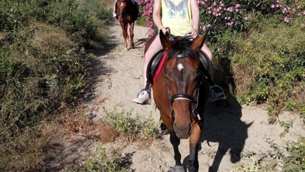 &Mu;&iota;&alpha; &eta;&mu;έ&rho;&alpha; &mu;&epsilon; &tau;&alpha; ά&lambda;&omicron;&gamma;&alpha; &sigma;&tau;&eta; &Sigma;&kappa;&omicron;ύ&rho;&alpha;