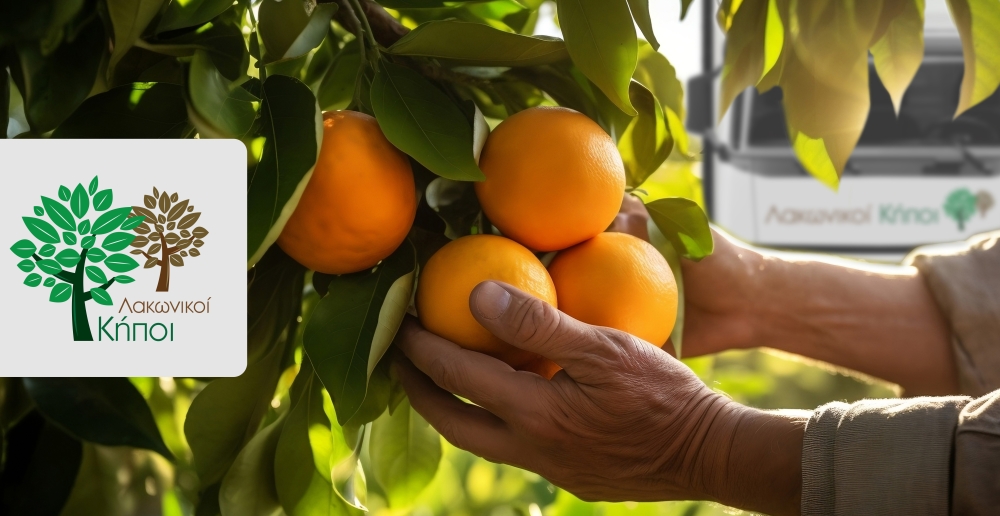 &Lambda;&alpha;&kappa;&omega;&nu;&iota;&kappa;&omicron;ί &Kappa;ή&pi;&omicron;&iota;: &Tau;&rho;ό&pi;&omicron;&iota; &sigma;&tau;ή&rho;&iota;&xi;&eta;&sigmaf; &tau;&omega;&nu; &pi;&alpha;&rho;&alpha;&gamma;&omega;&gamma;ώ&nu; &pi;&omicron;&rho;&tau;&omicron;&kappa;&alpha;&lambda;&iota;&omicron;ύ &tau;&eta;&sigmaf; &Alpha;&rho;&gamma;&omicron;&lambda;ί&delta;&alpha;&sigmaf;