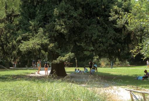 Η έλλειψη αστικού πρασίνου σκοτώνει χιλιάδες Ευρωπαίους