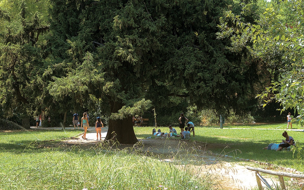 &Eta; έ&lambda;&lambda;&epsilon;&iota;&psi;&eta; &alpha;&sigma;&tau;&iota;&kappa;&omicron;ύ &pi;&rho;&alpha;&sigma;ί&nu;&omicron;&upsilon; &sigma;&kappa;&omicron;&tau;ώ&nu;&epsilon;&iota; &chi;&iota;&lambda;&iota;ά&delta;&epsilon;&sigmaf; &Epsilon;&upsilon;&rho;&omega;&pi;&alpha;ί&omicron;&upsilon;&sigmaf;