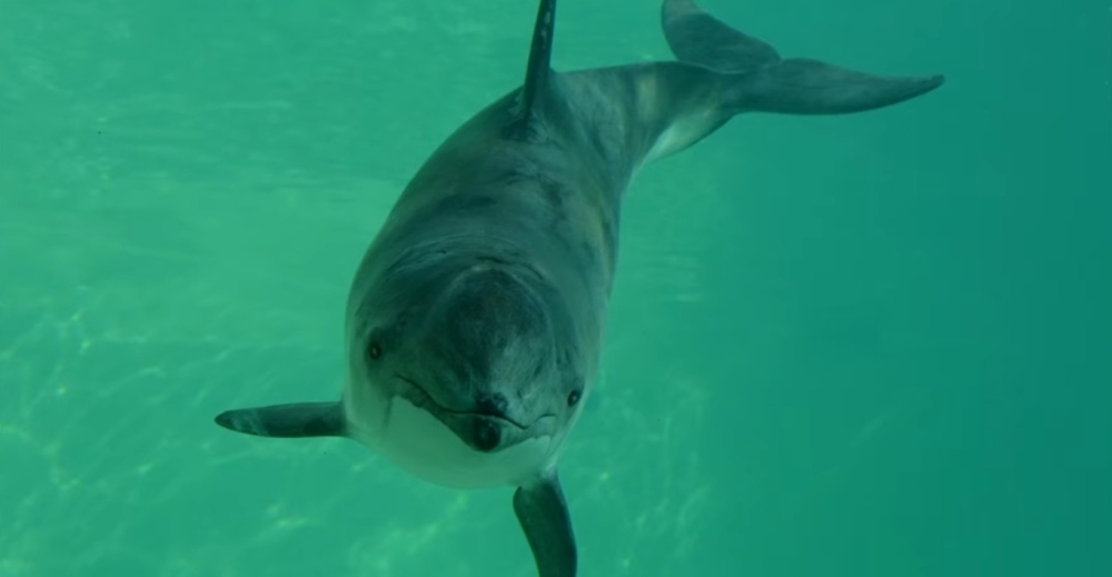 &Alpha;&nu;&eta;&sigma;&upsilon;&chi;ί&alpha; &gamma;&iota;&alpha; &tau;&iota;&sigmaf; &phi;ώ&kappa;&alpha;&iota;&nu;&epsilon;&sigmaf;