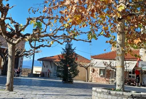 Φωταγώγηση χριστουγεννιάτικου δέντρου στο Γεράκι με γιορτινές δράσεις για όλους