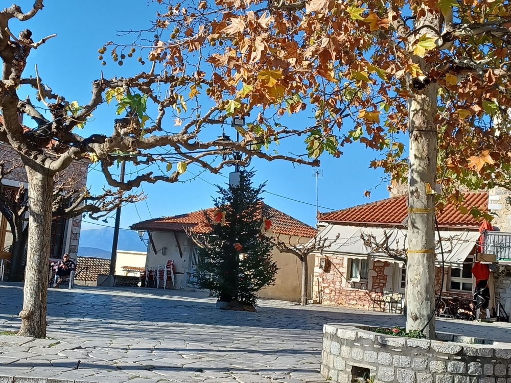 &Phi;&omega;&tau;&alpha;&gamma;ώ&gamma;&eta;&sigma;&eta; &chi;&rho;&iota;&sigma;&tau;&omicron;&upsilon;&gamma;&epsilon;&nu;&nu;&iota;ά&tau;&iota;&kappa;&omicron;&upsilon; &delta;έ&nu;&tau;&rho;&omicron;&upsilon; &sigma;&tau;&omicron; &Gamma;&epsilon;&rho;ά&kappa;&iota; &mu;&epsilon; &gamma;&iota;&omicron;&rho;&tau;&iota;&nu;έ&sigmaf; &delta;&rho;ά&sigma;&epsilon;&iota;&sigmaf; &gamma;&iota;&alpha; ό&lambda;&omicron;&upsilon;&sigmaf;