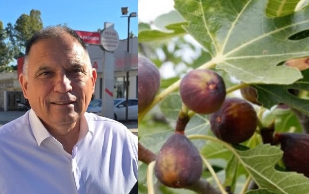 &Alpha;&nu;&alpha;&phi;&omicron;&rho;ά &Kappa;&rho;&eta;&tau;&iota;&kappa;&omicron;ύ &gamma;&iota;&alpha; &tau;&eta;&nu; &epsilon;&xi;&alpha;ί&rho;&epsilon;&sigma;&eta; &tau;&omega;&nu; &Lambda;&alpha;&kappa;ώ&nu;&omega;&nu; &sigma;&upsilon;&kappa;&omicron;&pi;&alpha;&rho;&alpha;&gamma;&omega;&gamma;ώ&nu; &alpha;&pi;ό &tau;&omicron; &Mu;έ&tau;&rho;&omicron; 23