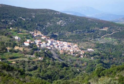 Τα Κουλέντια κόβουν βασιλόπιτα