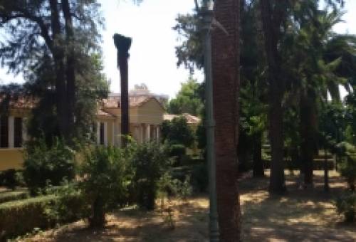 Σπάρτη: Θλίψη στο Μουσείο