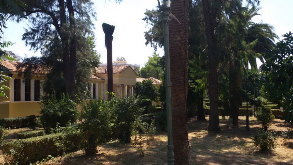 Σπάρτη: Θλίψη στο Μουσείο