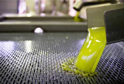 Ανάρπαστο κι αποδοτικό το ελαιόλαδο στη Λακωνία