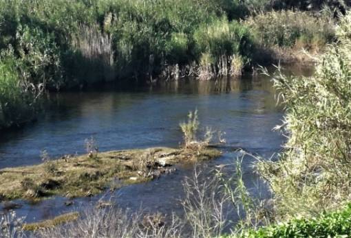 «Ο ιστορικός Ευρώτας παραμένει δέσμιος των προβλημάτων του που χρονίζουν»