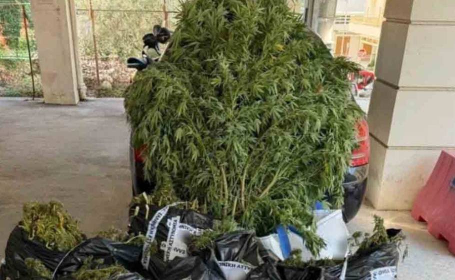 &laquo;&Phi;ά&mu;&pi;&rho;&iota;&kappa;&alpha;&raquo; &chi;&alpha;&sigma;ί&sigmaf; &mu;&epsilon; &mu;&pi;ί&zeta;&nu;&alpha; 160.000 &epsilon;&upsilon;&rho;ώ &sigma;&tau;&eta; &Mu;ά&nu;&eta;