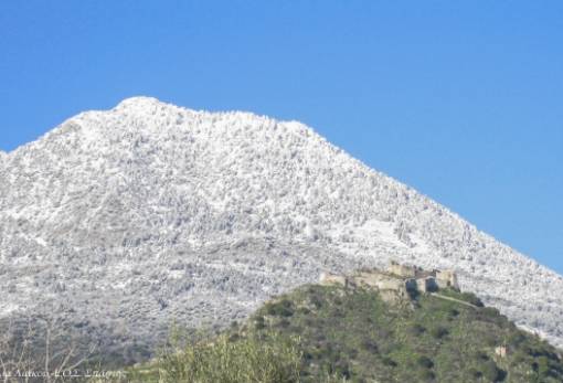 Στα 1600μ κόβει πίτα ο ΕΟΣ Σπάρτης