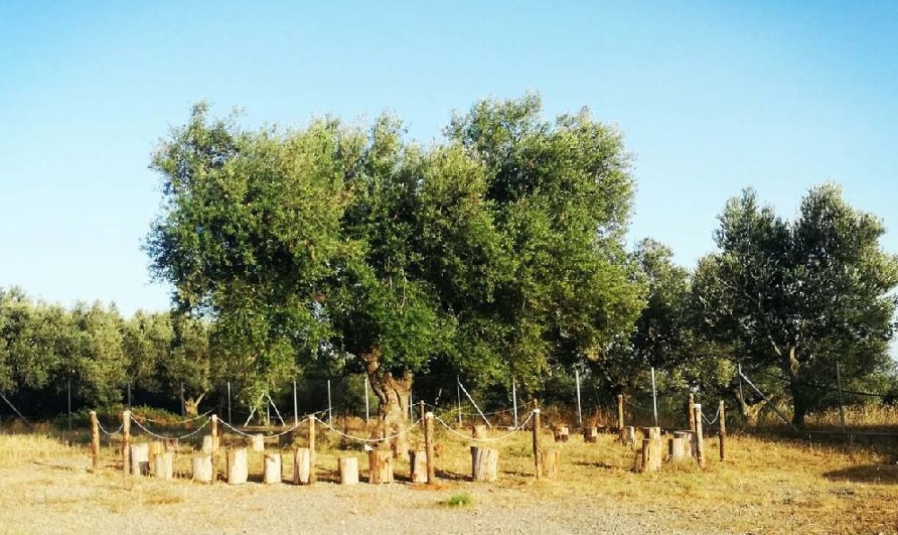 Έ&nu;&alpha; &theta;&alpha;ύ&mu;&alpha; &sigma;&tau;&omicron;&upsilon;&sigmaf; &Alpha;&gamma;ί&omicron;&upsilon;&sigmaf; &Alpha;&pi;&omicron;&sigma;&tau;ό&lambda;&omicron;&upsilon;&sigmaf; &Beta;&omicron;&iota;ώ&nu; &alpha;&pi;ό &tau;&eta;&nu; &laquo;&Tau;&omicron;&upsilon;&lambda;ί&pi;&alpha; &Gamma;&omicron;&upsilon;&lambda;&iota;&mu;ή&raquo;