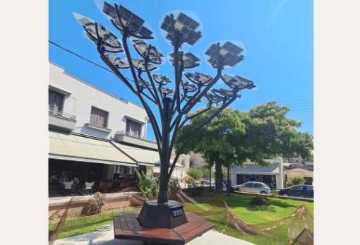 «Δέντρο» από τα έγκατα του… μέλλοντος ξεπρόβαλε στη Σπάρτη