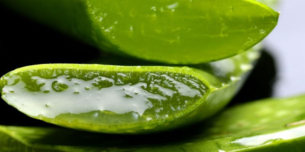 3 &lambda;ό&gamma;&omicron;&iota; &gamma;&iota;&alpha; &nu;&alpha; &epsilon;&nu;&tau;ά&xi;&epsilon;&iota;&sigmaf; &tau;&eta;&nu; &alpha;&lambda;ό&eta; &sigma;&tau;&eta; &rho;&omicron;&upsilon;&tau;ί&nu;&alpha; &sigma;&omicron;&upsilon; &alpha;&upsilon;&tau;ή &tau;&eta;&nu; &pi;&epsilon;&rho;ί&omicron;&delta;&omicron;