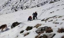 &Mu;&epsilon;&gamma;ά&lambda;&eta; &epsilon;&pi;&iota;&chi;&epsilon;ί&rho;&eta;&sigma;&eta; &gamma;&iota;&alpha; 8 &omicron;&rho;&epsilon;&iota;&beta;ά&tau;&epsilon;&sigmaf; &sigma;&tau;&omicron;&nu; &Tau;&alpha;ΰ&gamma;&epsilon;&tau;&omicron;