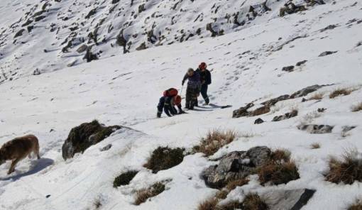 &Mu;&epsilon;&gamma;ά&lambda;&eta; &epsilon;&pi;&iota;&chi;&epsilon;ί&rho;&eta;&sigma;&eta; &gamma;&iota;&alpha; 8 &omicron;&rho;&epsilon;&iota;&beta;ά&tau;&epsilon;&sigmaf; &sigma;&tau;&omicron;&nu; &Tau;&alpha;ΰ&gamma;&epsilon;&tau;&omicron;