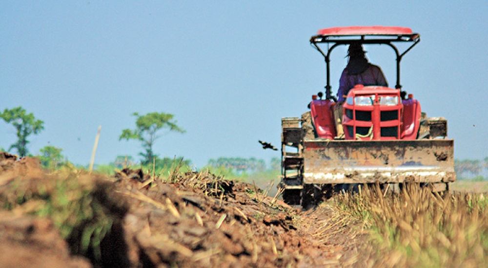 Χωρίς προκαταβολή βασικής ενίσχυσης το 2025