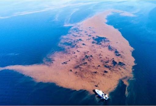 Παγασητικός: Μπάζα από την κακοκαιρία Daniel δημιούργησαν νησίδα