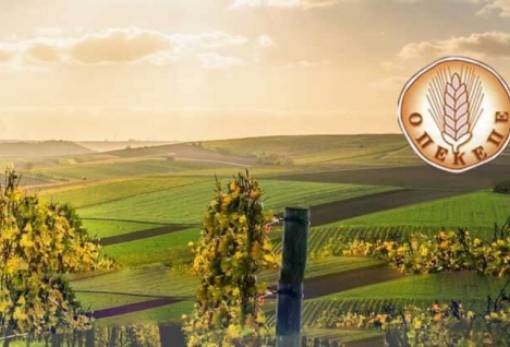 ΟΠΕΚΕΠΕ: Παράταση καταχώρισης ποσοτήτων για τις συνδεδεμένες ενισχύσεις