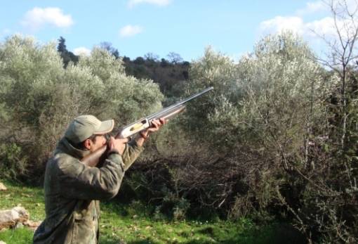 Πλήρης απαγόρευση κυνηγιού για 3 χρόνια σε καμένες εκτάσεις στη Μεταμόρφωση