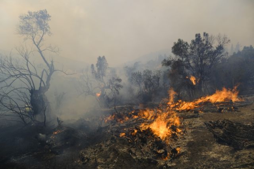 &Chi;&omega;&rho;ί&sigmaf; &kappa;ό&sigma;&tau;&omicron;&sigmaf; &omicron;&iota; &delta;&eta;&lambda;ώ&sigma;&epsilon;&iota;&sigmaf; &zeta;&eta;&mu;ί&alpha;&sigmaf; &alpha;&pi;ό &tau;&iota;&sigmaf; &pi;&upsilon;&rho;&kappa;&alpha;&gamma;&iota;έ&sigmaf;