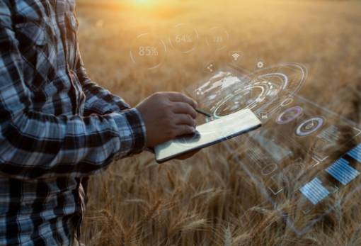 ΕΕ: Πρόσκληση για νέες ομάδες εστίασης του δικτύου ΚΑΠ – EU CAP NETWORK