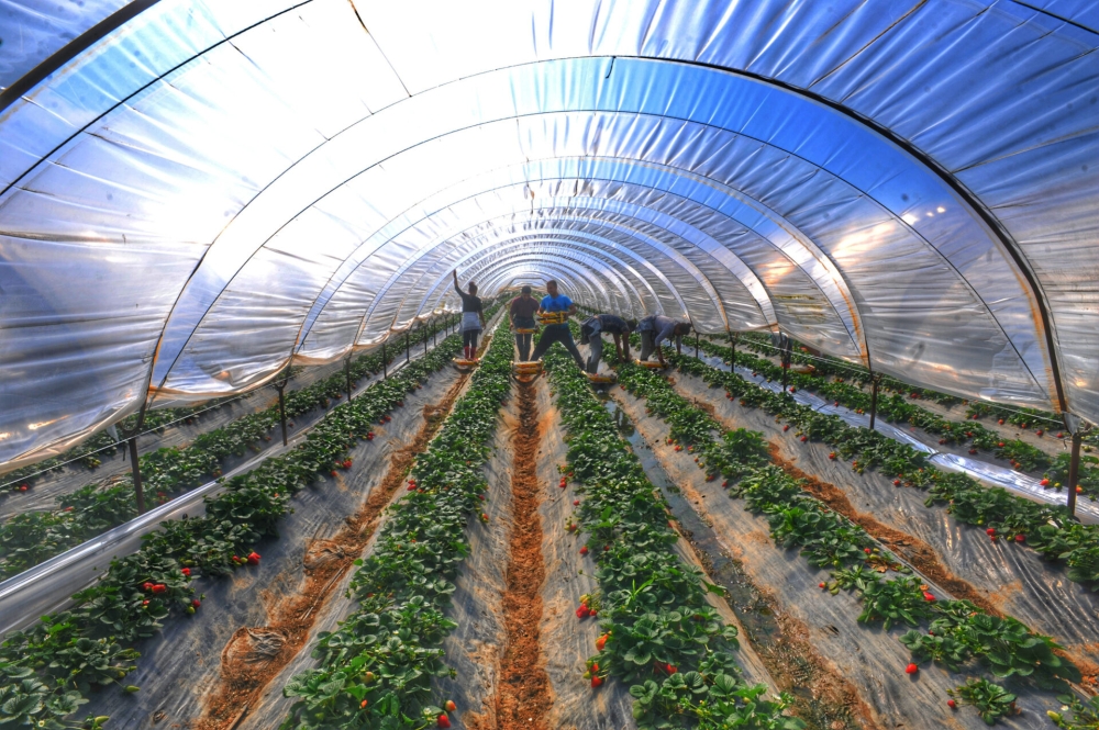 &Mu;&epsilon;&tau;ά &tau;&omicron;&nu; &Omicron;&Pi;&Epsilon;&Kappa;&Epsilon;&Pi;&Epsilon; &sigma;&kappa;ά&nu;&delta;&alpha;&lambda;&omicron; &kappa;&alpha;&iota; &sigma;&tau;&omicron;&nu; &Epsilon;&Lambda;&Gamma;&Alpha;: &Alpha;&pi;&omicron;&zeta;&eta;&mu;&iota;ώ&theta;&eta;&kappa;&alpha;&nu; &gamma;&iota;&alpha; &theta;&epsilon;&rho;&mu;&omicron;&kappa;ή&pi;&iota;&alpha; &pi;&omicron;&upsilon; &delta;&epsilon;&nu; &epsilon;ί&chi;&alpha;&nu;