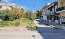 Διάνοιξη στενού Θερμοπυλών με το… στανιό και «σκιές»