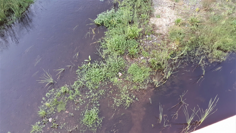 Μαυρίζει και πάλι ο Ευρώτας! (ΦΩΤΟ)