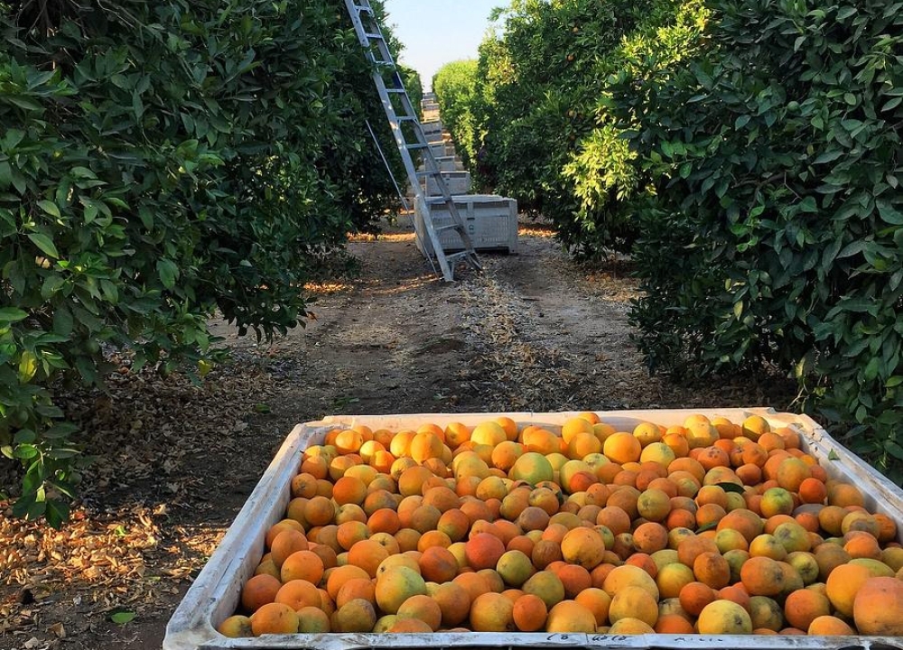 &Delta;. &Epsilon;&upsilon;&rho;ώ&tau;&alpha;: &laquo;Έ&chi;&omicron;&upsilon;&mu;&epsilon; &pi;&rho;ά&xi;&epsilon;&iota; &tau;&alpha; &delta;έ&omicron;&nu;&tau;&alpha; &gamma;&iota;&alpha; &tau;&omicron; &pi;&rho;ό&beta;&lambda;&eta;&mu;&alpha; &sigma;&tau;&alpha; &epsilon;&sigma;&pi;&epsilon;&rho;&iota;&delta;&omicron;&epsilon;&iota;&delta;ή&raquo;