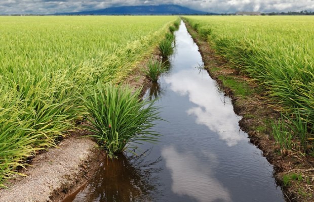 &Alpha;&rho;&delta;&epsilon;&upsilon;&tau;&iota;&kappa;ό &delta;ί&kappa;&tau;&upsilon;&omicron;: &Nu;έ&alpha; &epsilon;&pi;&omicron;&chi;ή &mu;&epsilon; &epsilon;&upsilon;&rho;&omega;&pi;&alpha;ϊ&kappa;ή &chi;&rho;&eta;&mu;&alpha;&tau;&omicron;&delta;ό&tau;&eta;&sigma;&eta;