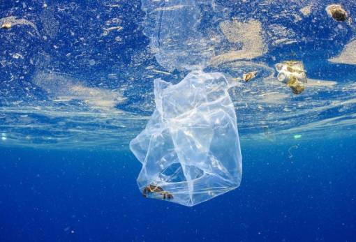 Κολυμπώντας παρέα με τα πλαστικά