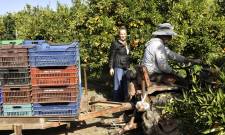 &Pi;ό&tau;&epsilon; &xi;&epsilon;&kappa;&iota;&nu;&omicron;ύ&nu; &pi;&lambda;&eta;&rho;&omega;&mu;έ&sigmaf; &sigma;&tau;&alpha; &pi;&rho;&omicron;&gamma;&rho;ά&mu;&mu;&alpha;&tau;&alpha; &Nu;έ&omega;&nu; &Alpha;&gamma;&rho;&omicron;&tau;ώ&nu;, &Theta;&epsilon;&rho;&mu;&omicron;&kappa;ή&pi;&iota;&alpha;, &Omicron;&mu;ά&delta;&epsilon;&sigmaf; &Pi;&alpha;&rho;&alpha;&gamma;&omega;&gamma;ώ&nu; &kappa;&alpha;&iota; &Sigma;&upsilon;&nu;&epsilon;&rho;&gamma;&alpha;&sigma;ί&alpha;