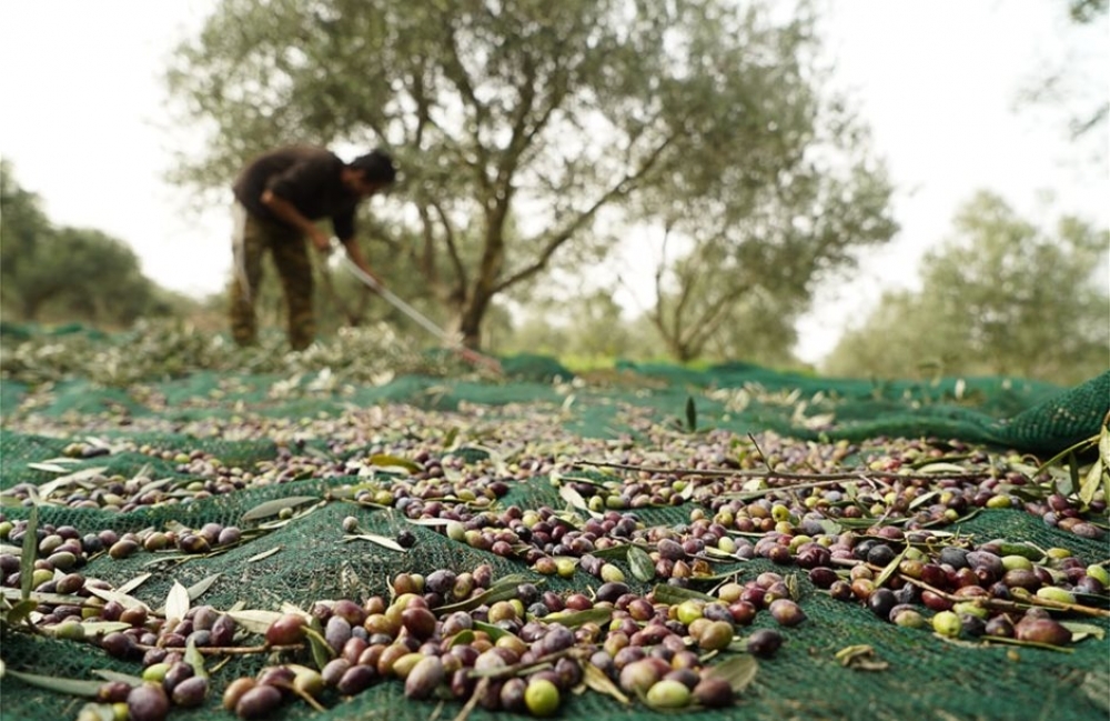Προς λύση στο αδιέξοδο με τους εργάτες γης