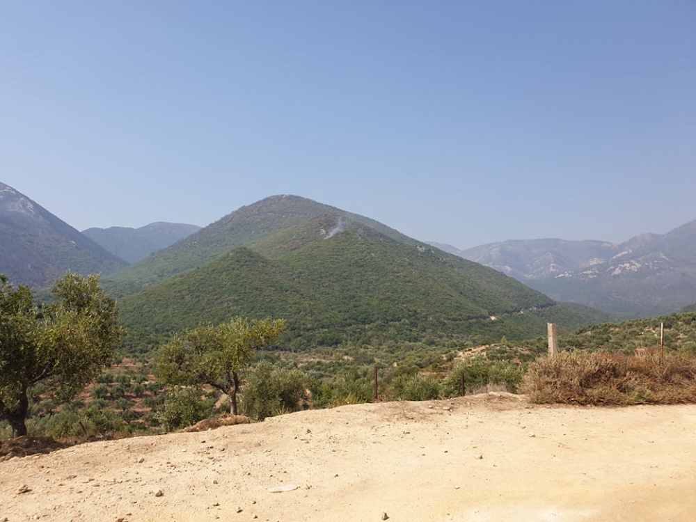 Στην περιοχή της Δεσφίνας οι πυροσβεστικές δυνάμεις