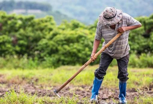Στο ΕΚ συζητήθηκε το μέλλον της γεωργίας