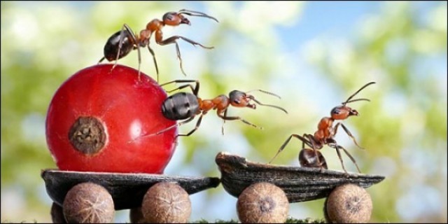 &Pi;ώ&sigmaf; &nu;&alpha; &alpha;&pi;&omicron;&mu;&alpha;&kappa;&rho;ύ&nu;&epsilon;&tau;&epsilon; &tau;&alpha; &mu;&upsilon;&rho;&mu;ή&gamma;&kappa;&iota;&alpha;